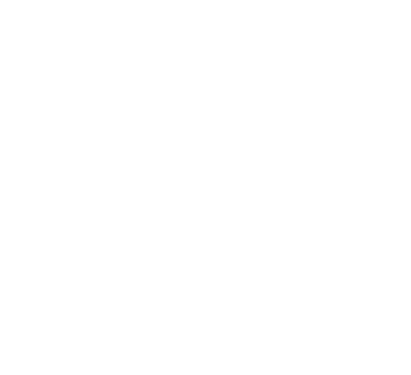 RM Racing Electronics – Engine Management Systems
